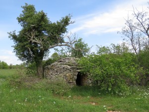 1 Usamljeni kažun_Kata Milovan