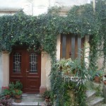 17 Mošćenice pasiflora