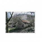 Pojata u Neoriću_Ivan Pavić