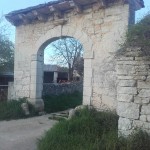 Stara volta_Toni Lukin