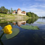 Stari grad_Mario Radaković