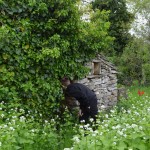 Tajne_Nikolina Milovan