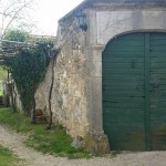 Va primorju samo kamen_Tamara Žirovec